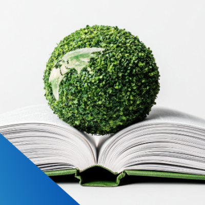 26 de Enero | día mundial de la educación ambiental